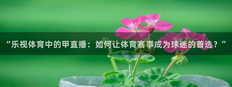 “乐视体育中的甲直播：如何让体育赛事成为球迷的首选？”