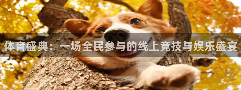 体育盛典：一场全民参与的线上竞技与娱乐盛宴