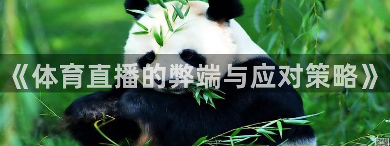 《体育直播的弊端与应对策略》